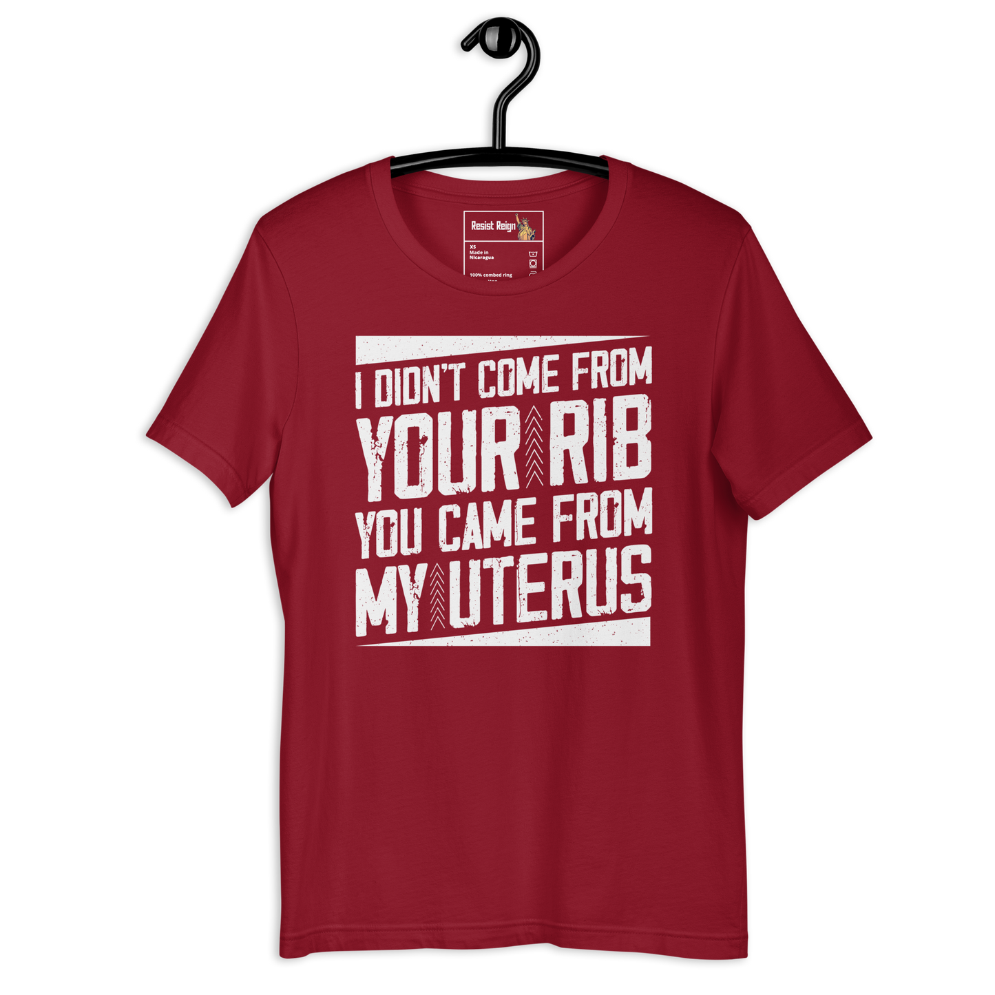 Genesis Had It Wrong! Standard T-shirt