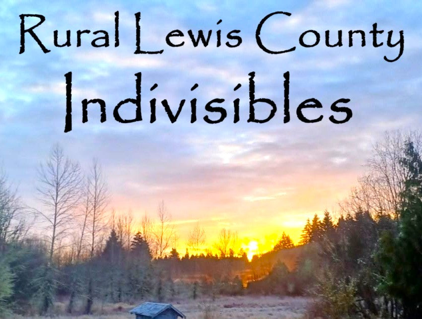 Rural Lewis County Indivisibles